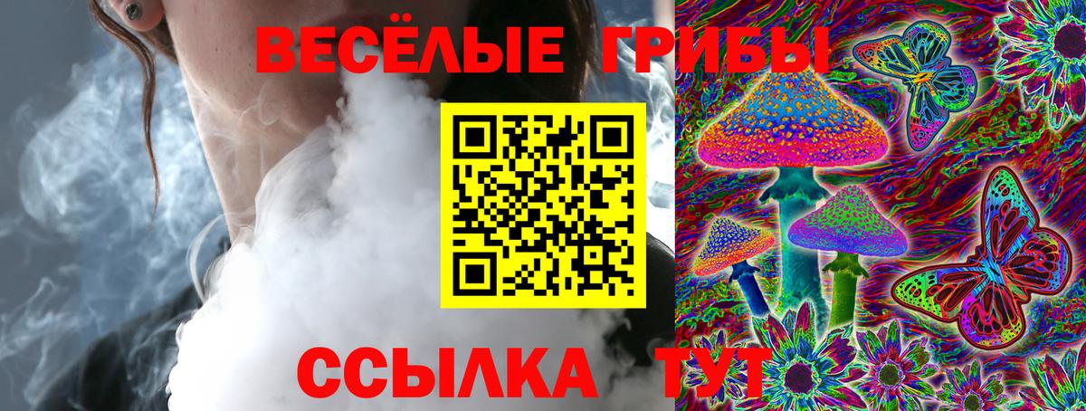 Псилоцибиновые грибы прущие грибы Торжок