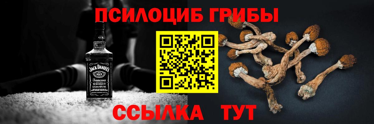 сколько стоит  Вход с VPN  Торжок  Псилоцибиновые грибы MAGIC MUSHROOMS 
